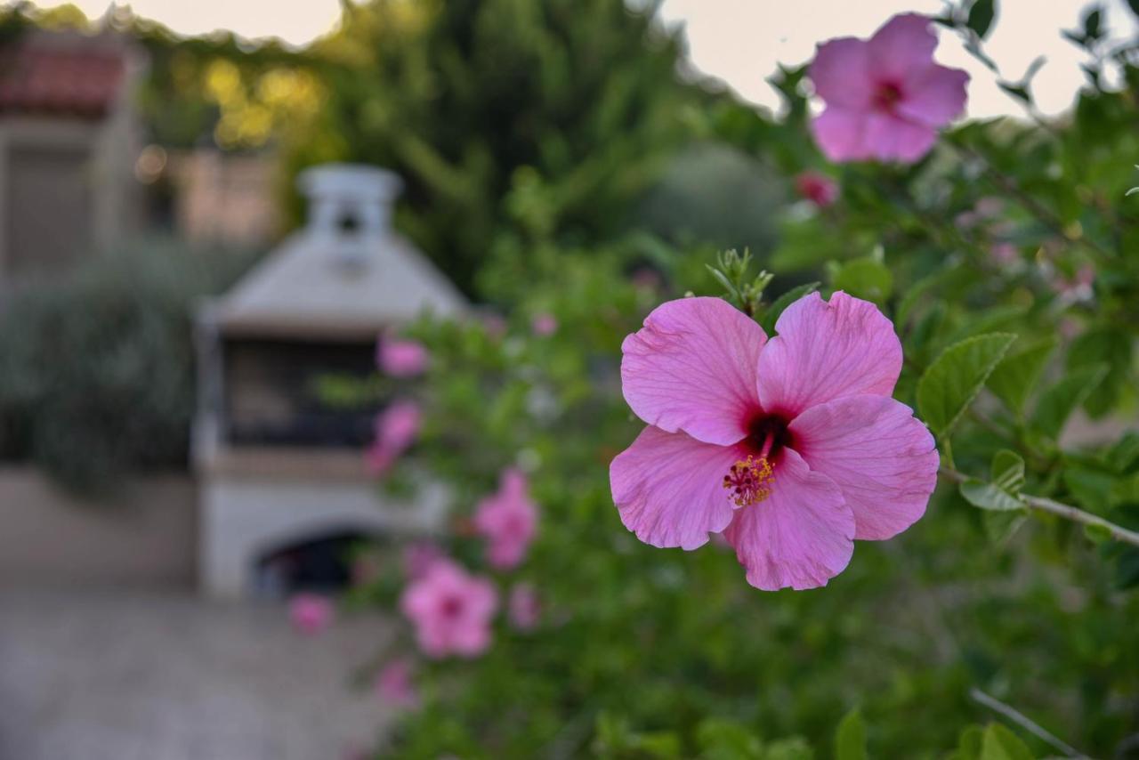 Villabayviewcrete Χερσόνησος Εξωτερικό φωτογραφία